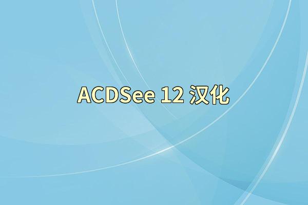 ACDSee 12 汉化